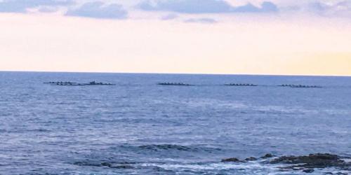 KVR Ocean view off KVR Lanai.