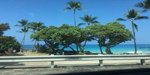 Kona Beaches are in the top 10 beaches