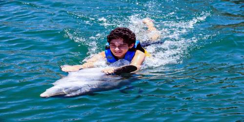 Swimming with the dolphins