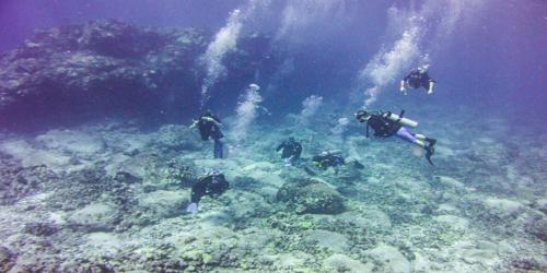 Diving Kona Hawaii