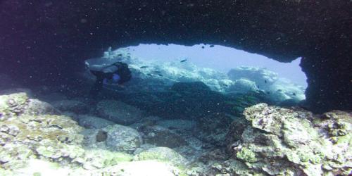 Underwater cave kona Hawaii