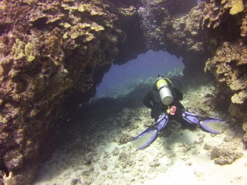 Day Diving In Kailua-Kona